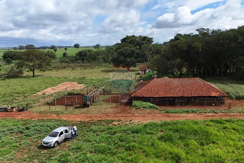 Fazenda, 27 hectares - Foto 14