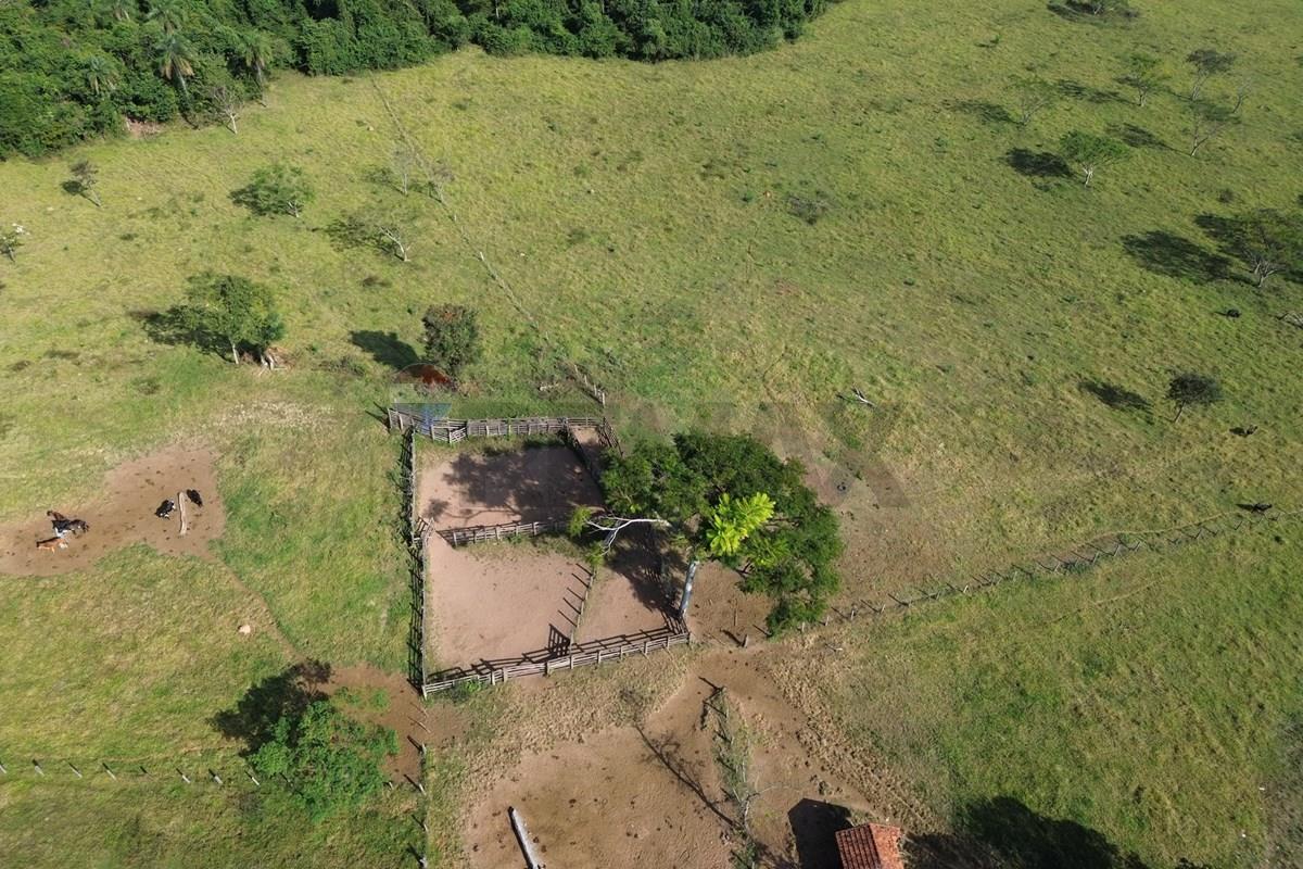 Fazenda, 199 hectares - Foto 24