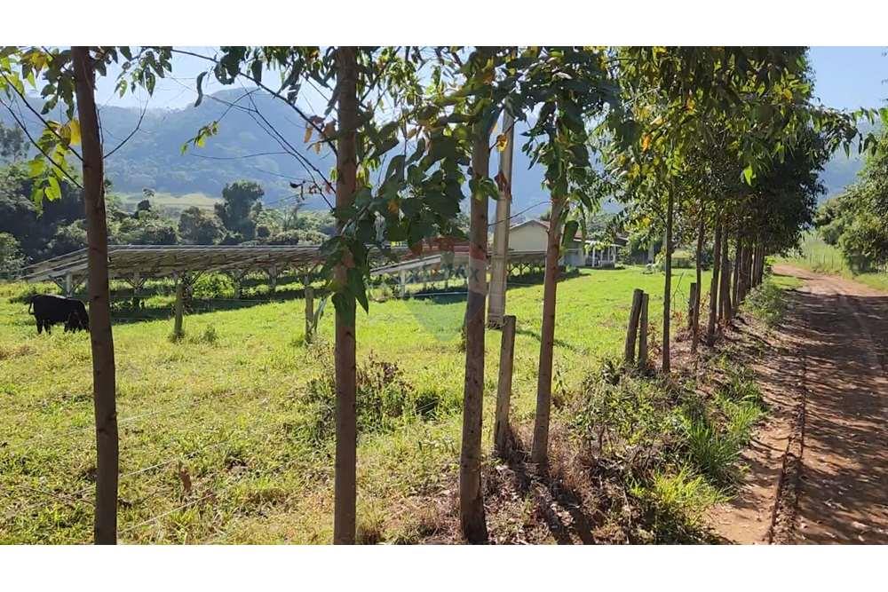 Fazenda, 217 hectares - Foto 60