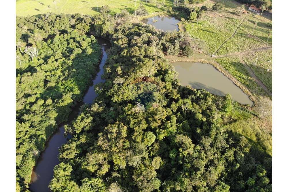 Fazenda, 12 hectares - Foto 49