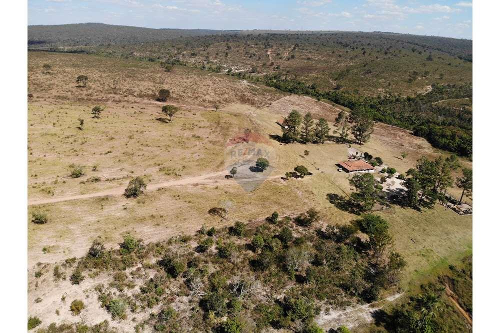 Fazenda, 1657 hectares - Foto 8