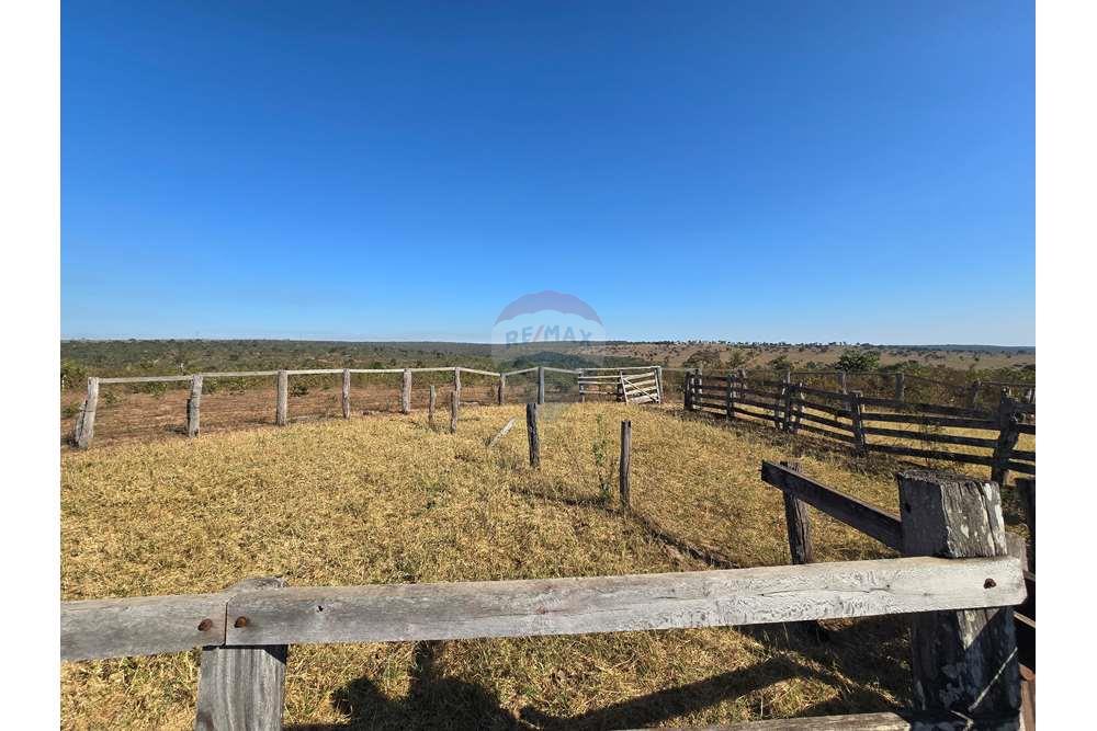 Fazenda, 1657 hectares - Foto 14