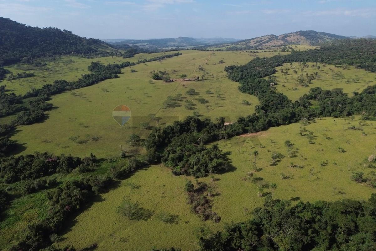 Fazenda, 199 hectares - Foto 12