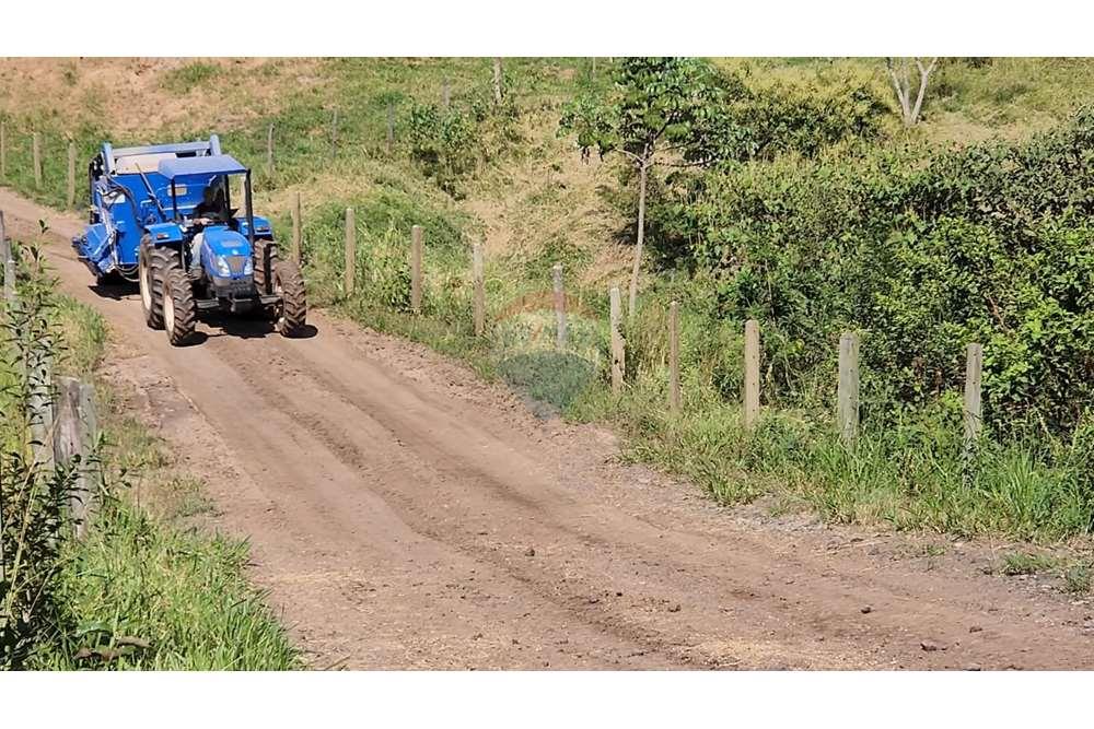 Fazenda, 217 hectares - Foto 37