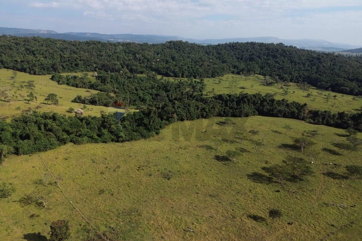 Fazenda, 199 hectares - Foto 23