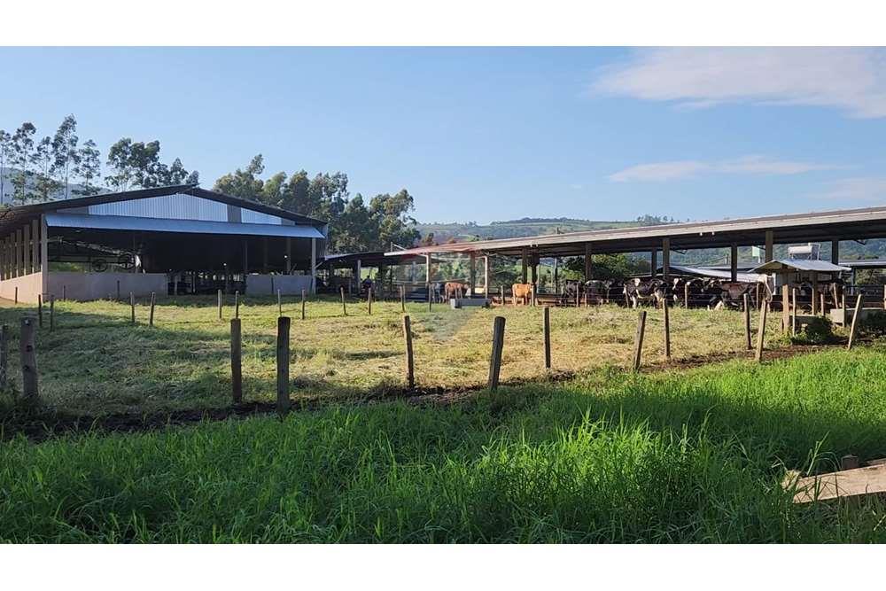 Fazenda, 217 hectares - Foto 71