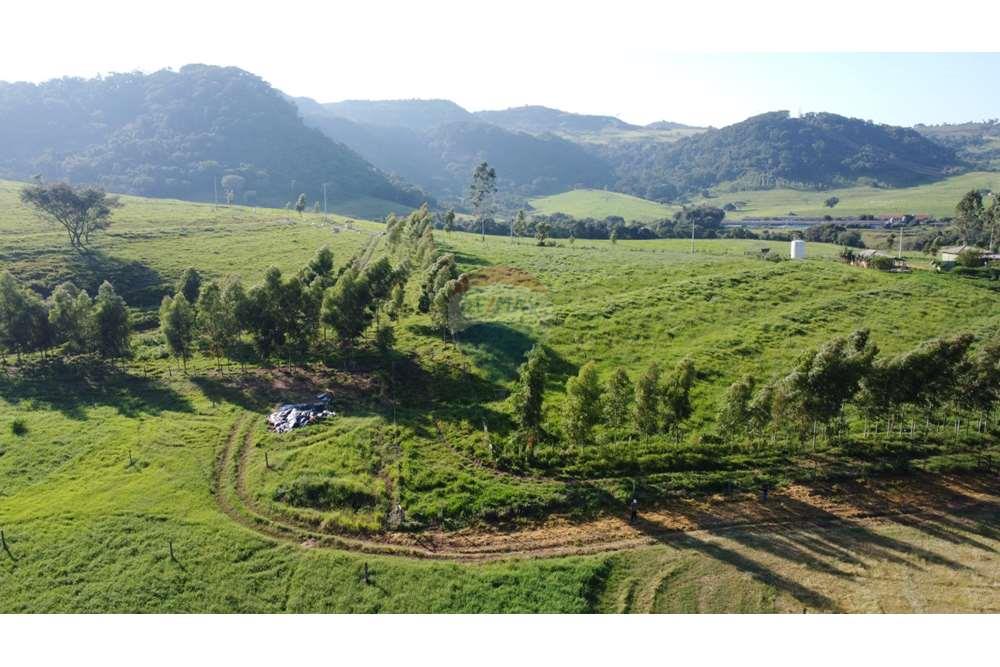Fazenda, 217 hectares - Foto 11
