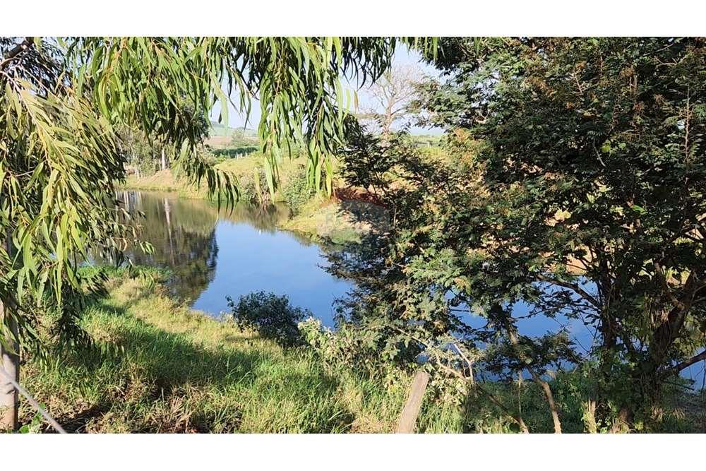 Fazenda, 217 hectares - Foto 70