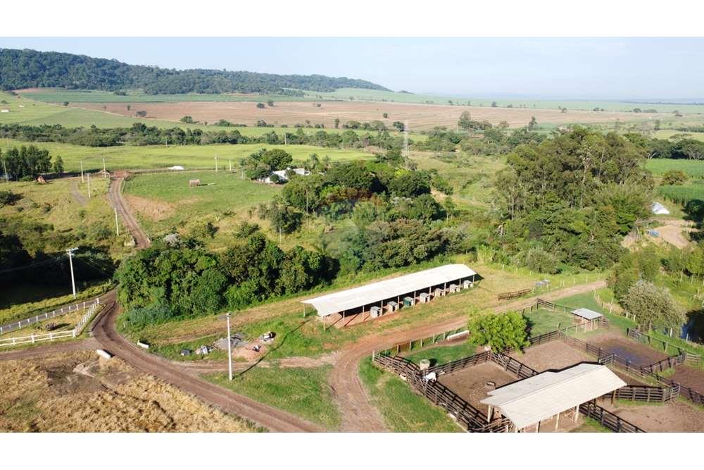 Fazenda, 217 hectares - Foto 23