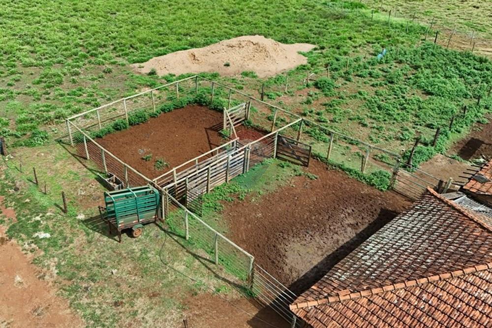 Fazenda, 27 hectares - Foto 17