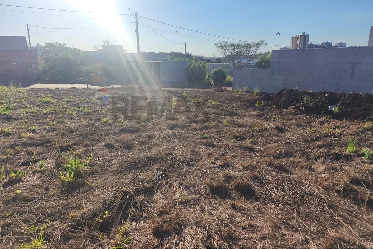 Foto 6 de 20