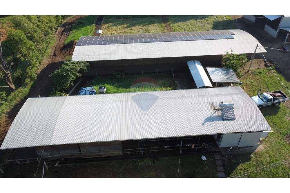 Fazenda, 217 hectares - Foto 20