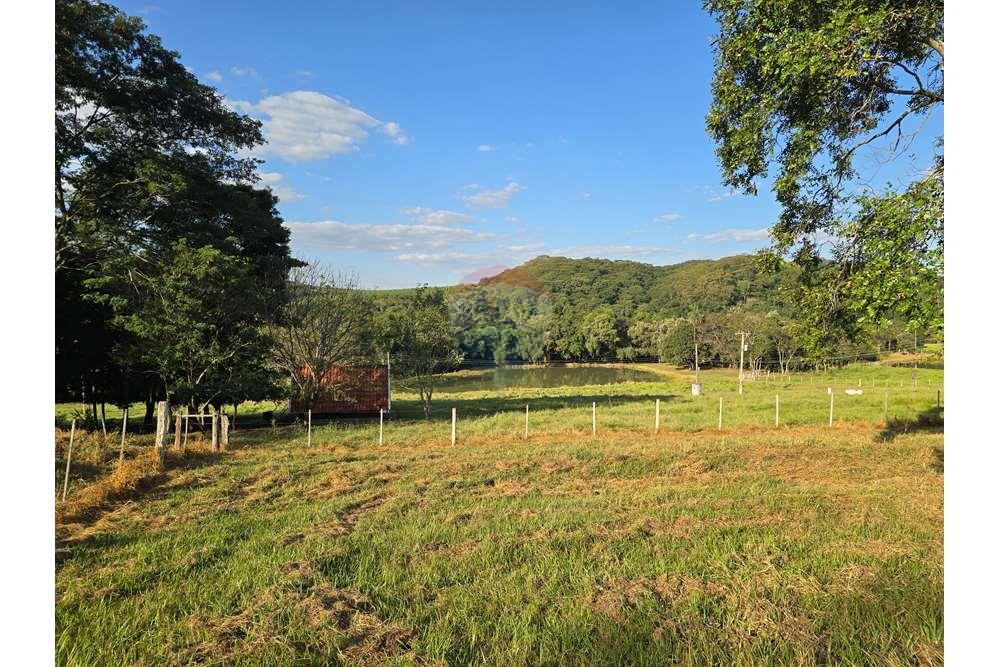 Fazenda, 12 hectares - Foto 4