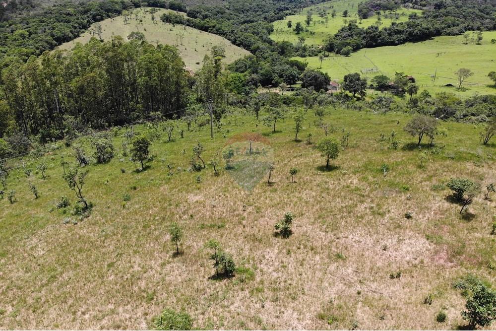 Sítio, 1 quarto, 54 hectares - Foto 11