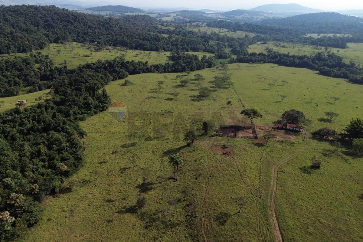 Fazenda, 199 hectares - Foto 14