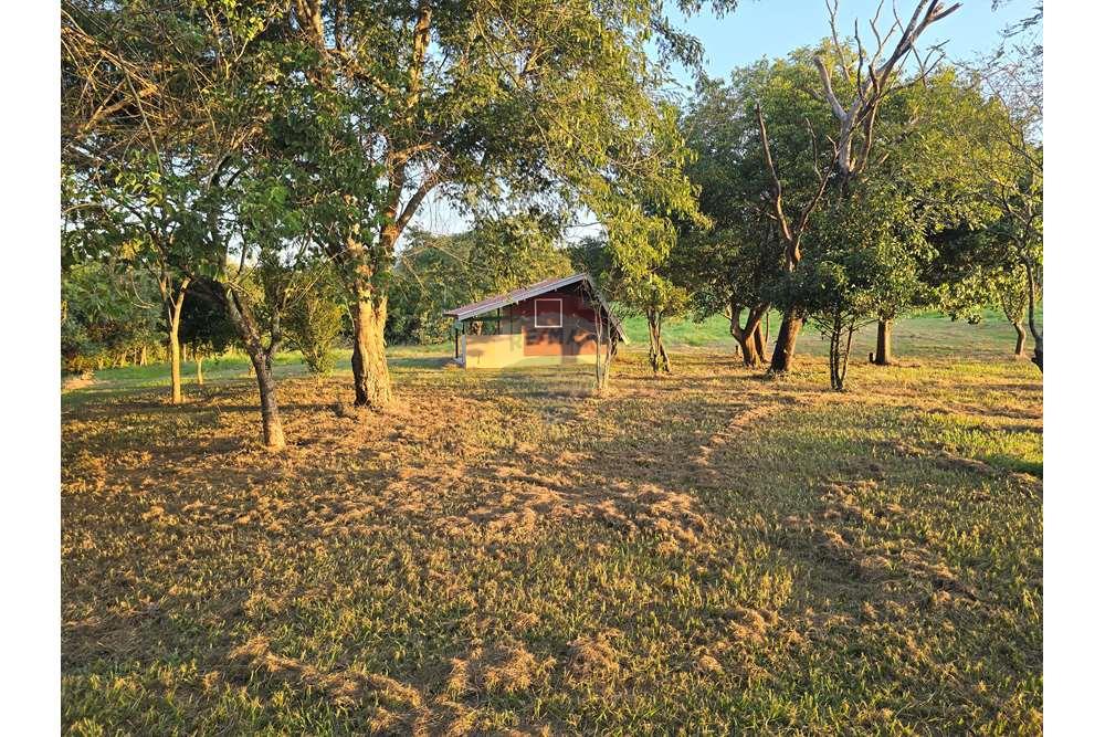 Fazenda, 12 hectares - Foto 44
