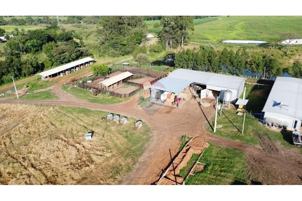 Fazenda, 217 hectares - Foto 25
