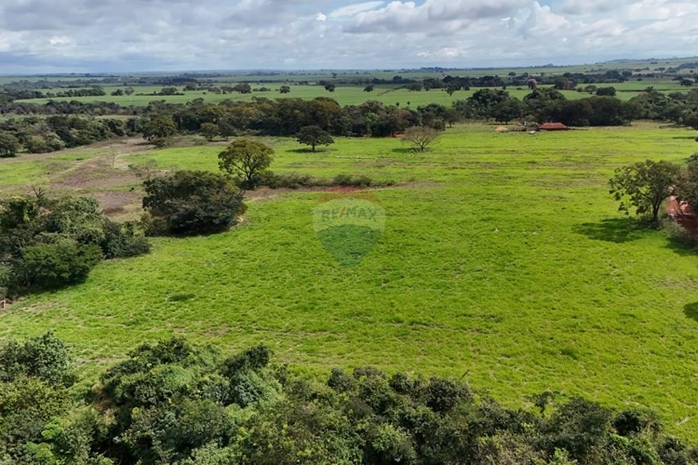 Fazenda, 27 hectares - Foto 10