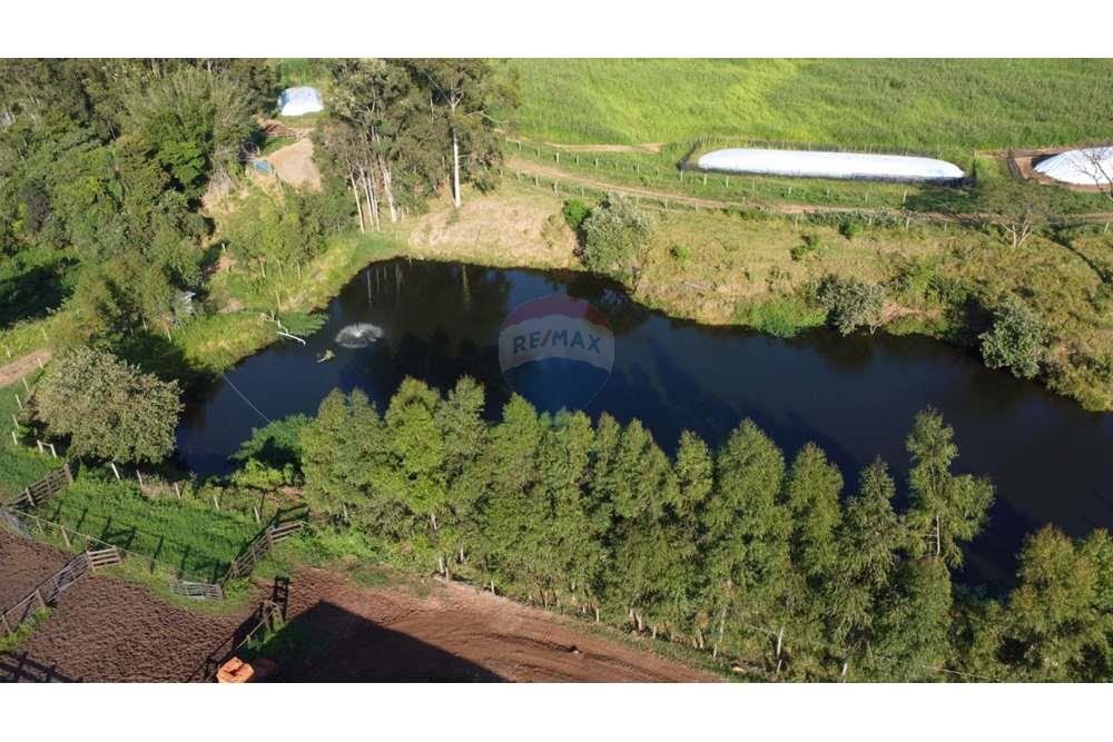 Fazenda, 217 hectares - Foto 22
