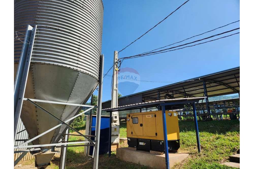 Fazenda, 217 hectares - Foto 30