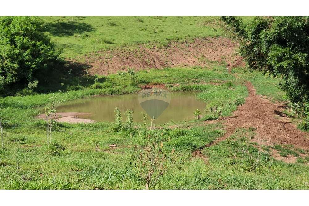Fazenda, 217 hectares - Foto 34