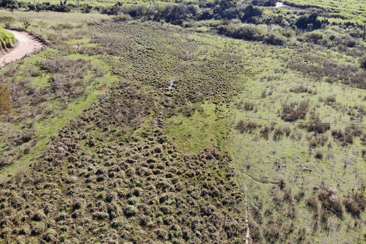 Terreno, 5 hectares - Foto 7