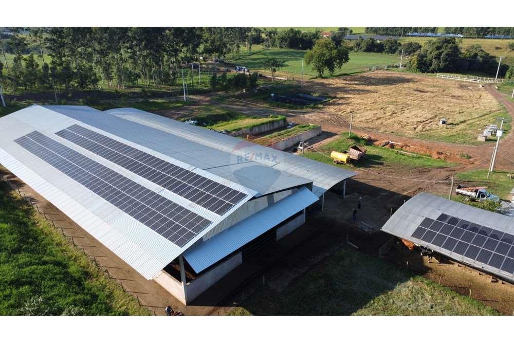 Fazenda, 217 hectares - Foto 16