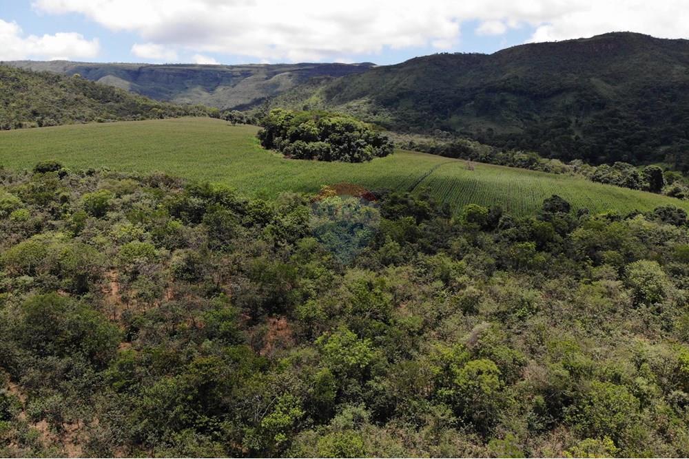 Sítio, 1 quarto, 45 hectares - Foto 6