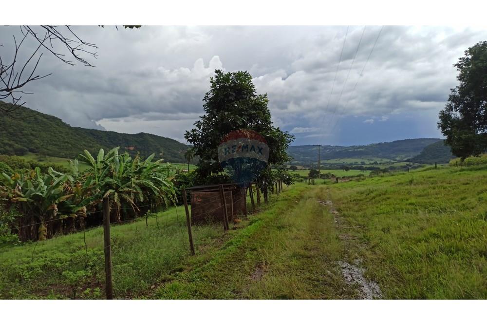 Fazenda, 60 hectares - Foto 41