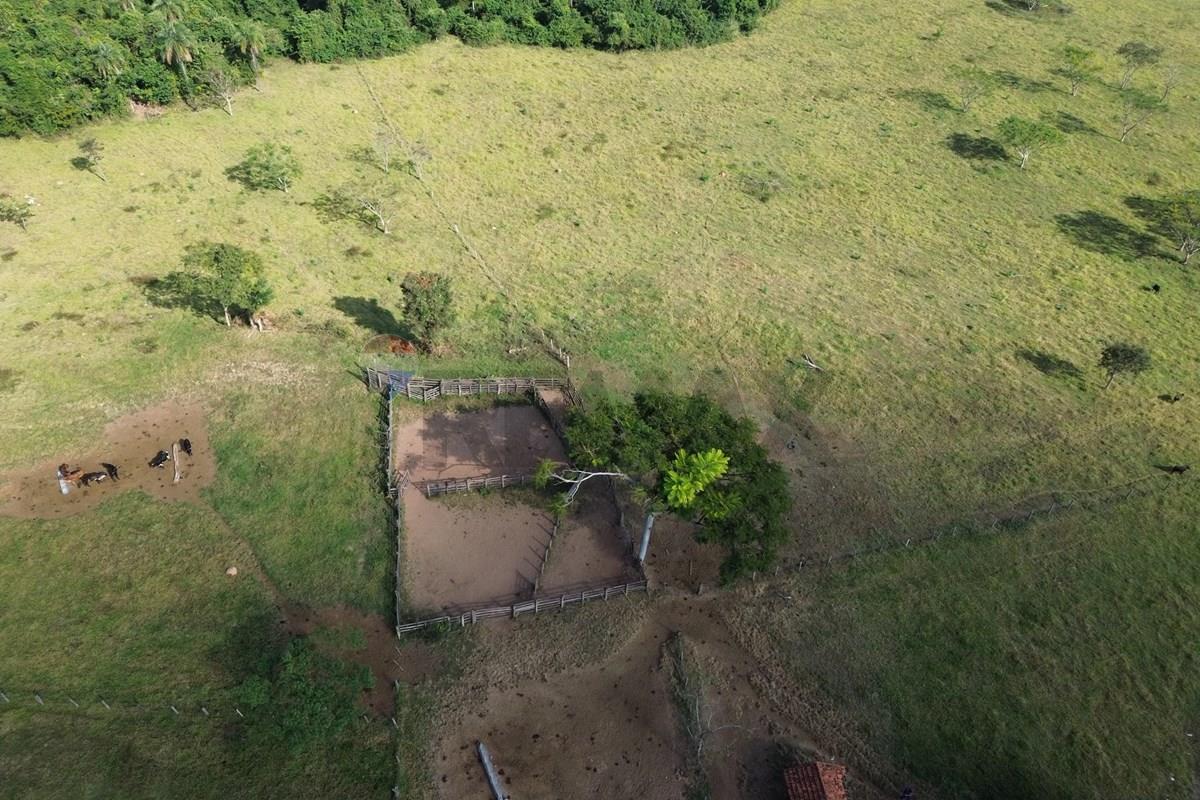 Fazenda, 199 hectares - Foto 25