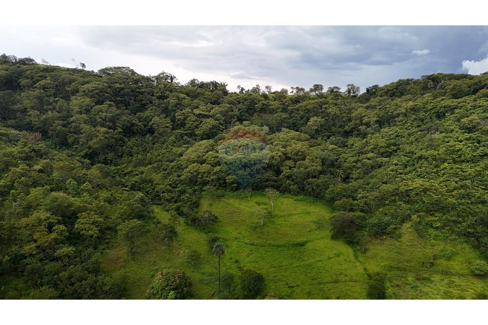 Fazenda, 60 hectares - Foto 14