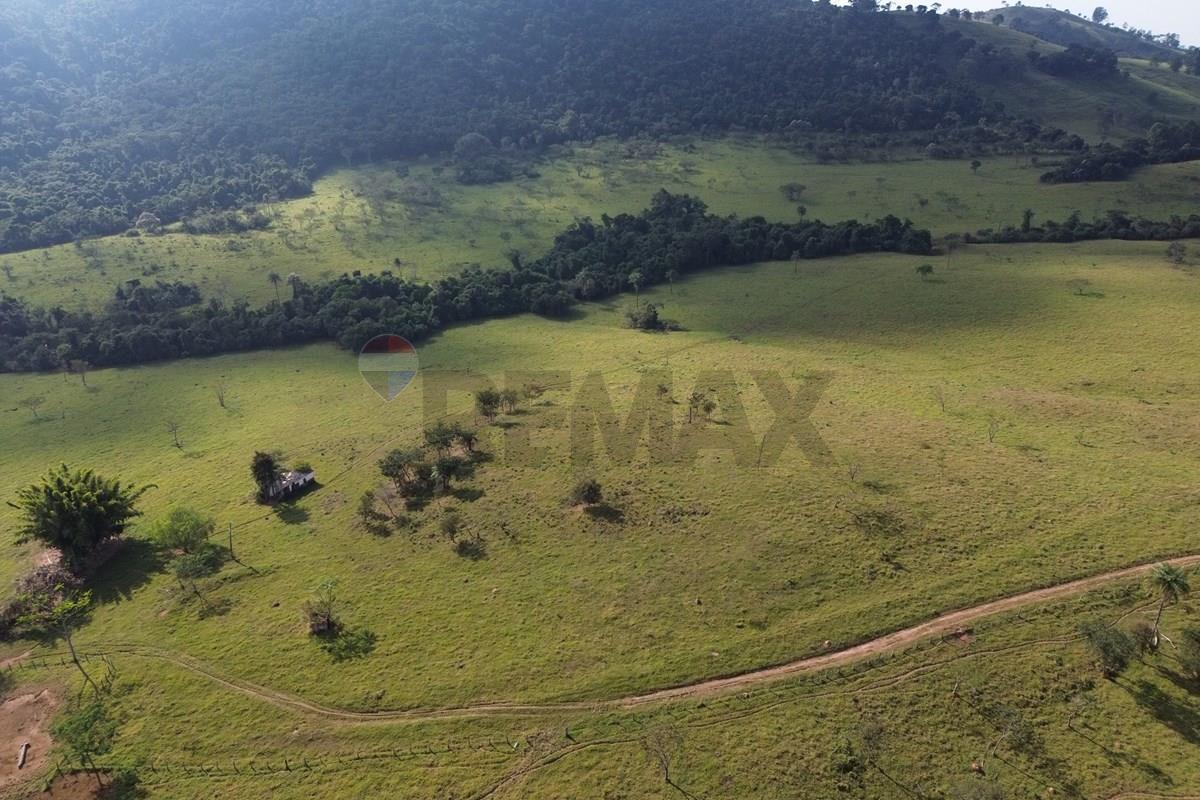 Fazenda, 199 hectares - Foto 18
