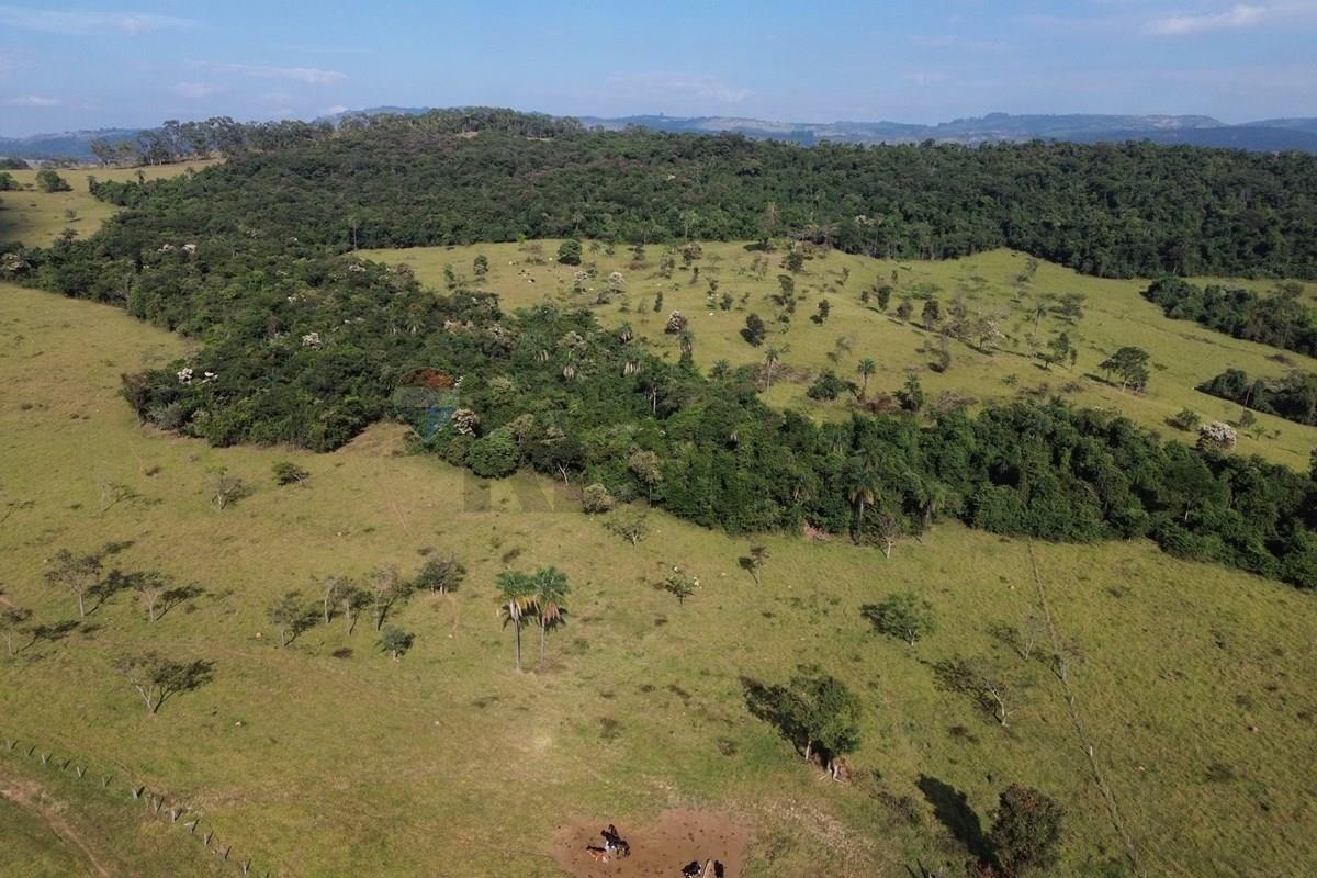 Fazenda, 199 hectares - Foto 22