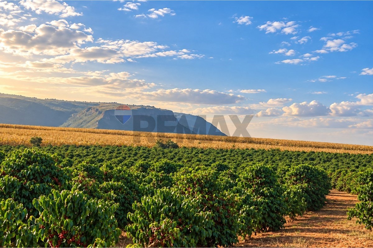 Fazenda, 67 hectares - Foto 12