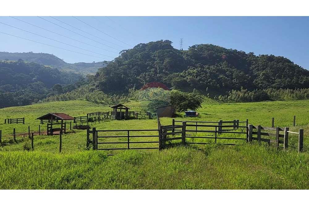 Fazenda, 217 hectares - Foto 47