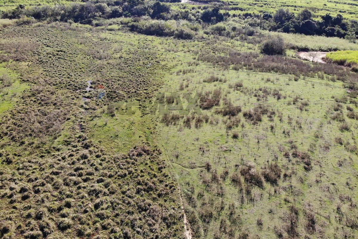 Terreno, 5 hectares - Foto 6