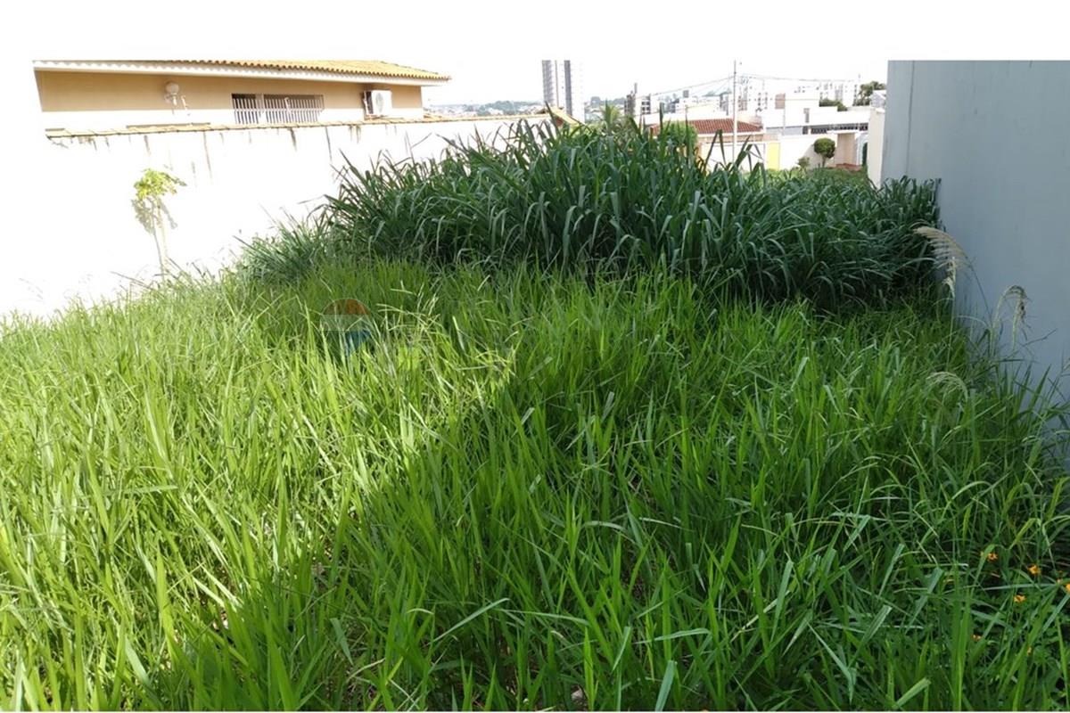 Terreno, 300 m² - Foto 3