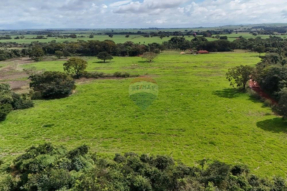 Fazenda, 27 hectares - Foto 8