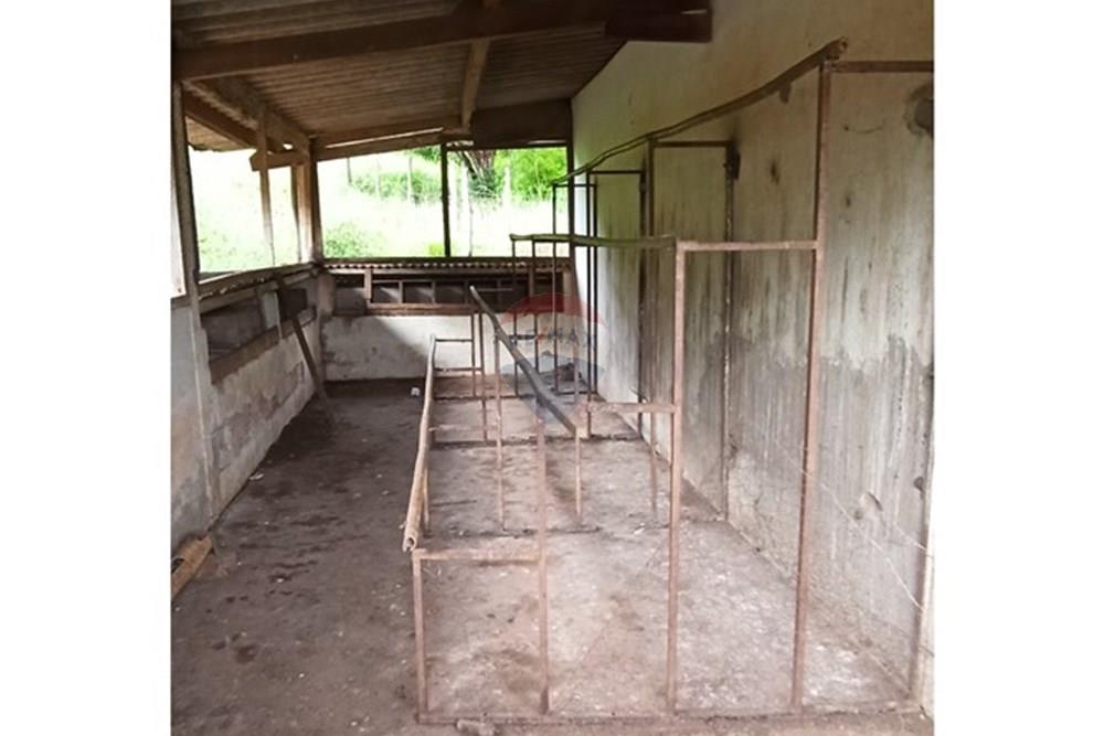 Fazenda, 60 hectares - Foto 33