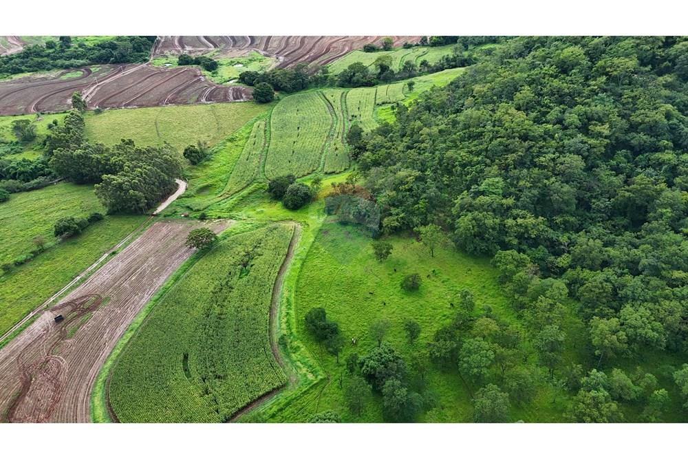 Fazenda, 60 hectares - Foto 7