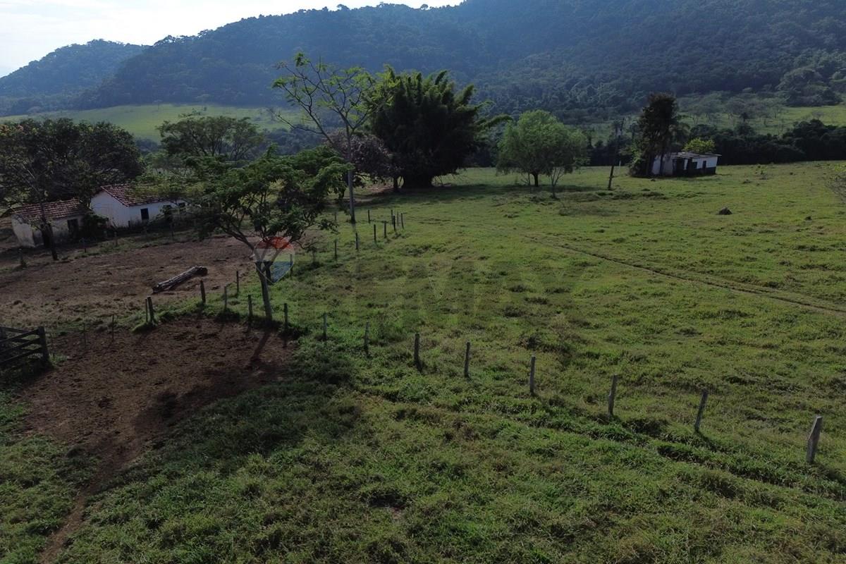 Fazenda, 199 hectares - Foto 2