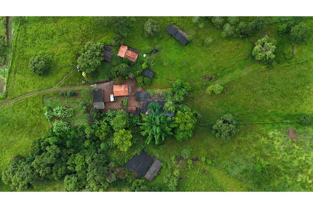 Fazenda, 60 hectares - Foto 21
