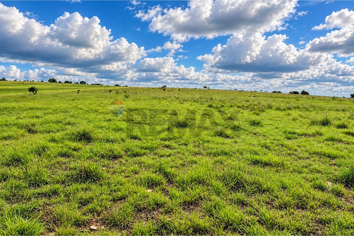 Fazenda, 67 hectares - Foto 16