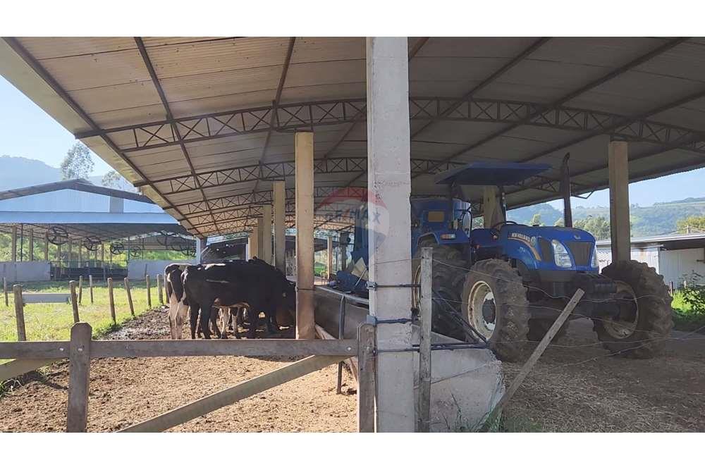 Fazenda, 217 hectares - Foto 72