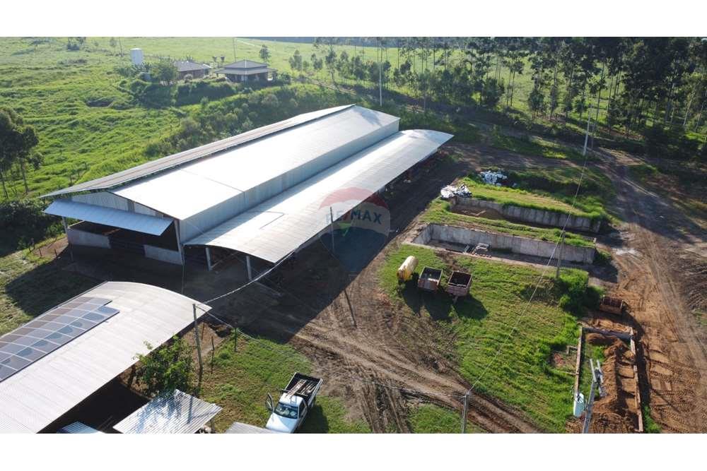 Fazenda, 217 hectares - Foto 21