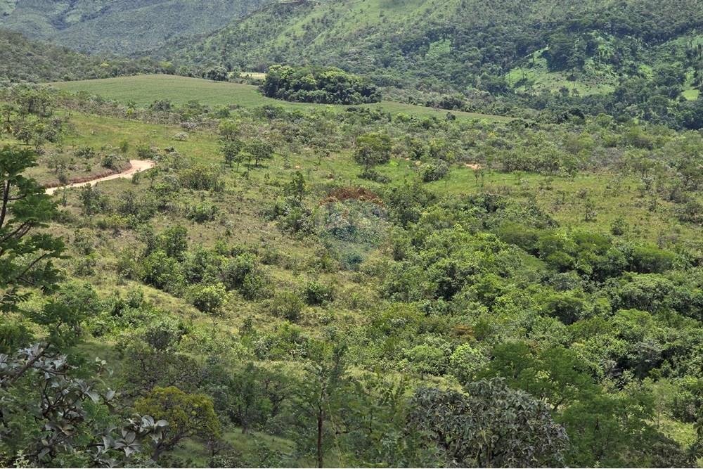 Sítio, 1 quarto, 45 hectares - Foto 4