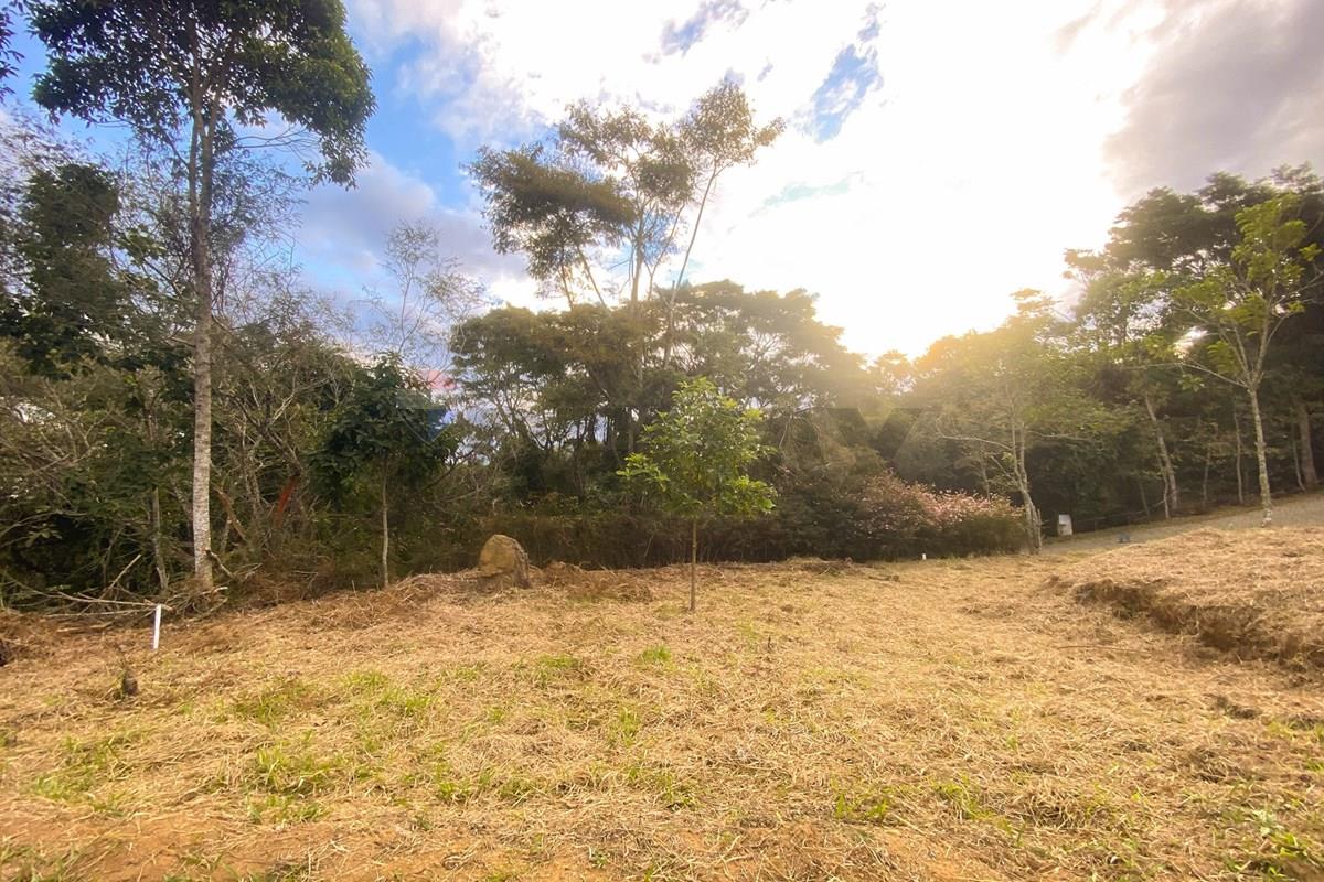 terreno em Avenida Senhor dos Passos, 2102, São Pedro, Juiz de Fora, Minas Gerais, 36037490