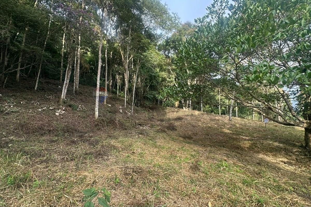 terreno em Zona Rural, SN - Próximo ao Expominas - Chácaras Passos Del Rey, Juiz de Fora, Minas Gerais, 36039080