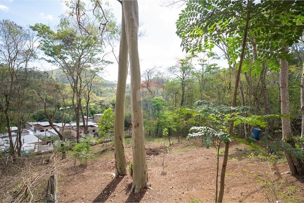 terreno em Rua Afonso Henrique Hargreaves Botti, 272 - Próximo do Seminário do Floresta - Floresta, Juiz de Fora, Minas Gerais, 36072094