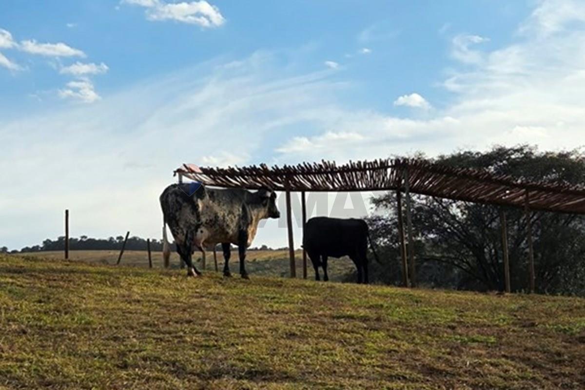 Fazenda em Rio Manso/Minas Gerais — Ref WVKOOZ — Imagem 64